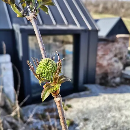 Wiejska Sowa Siedlisko - W Górach Sowich