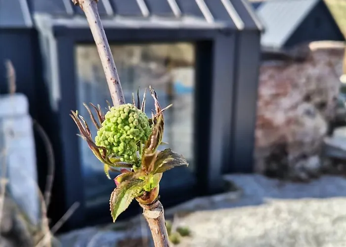 Wiejska Sowa Siedlisko - W Gorach Sowich